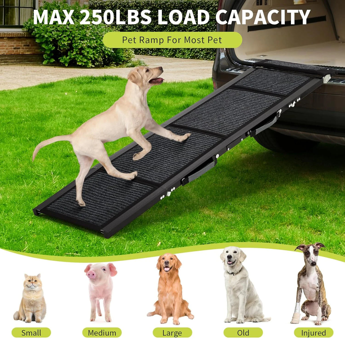 HiMISS Folding Non Slip Dog Car Ramp for Large Dogs