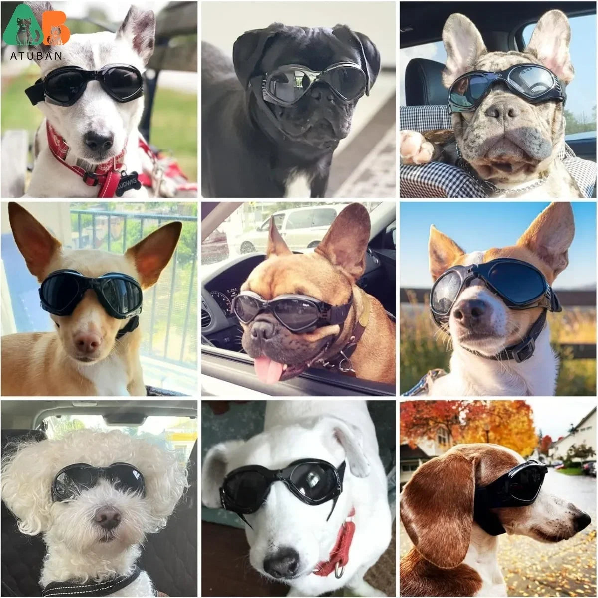ATUBAN Cool Pet Motorcycle Helmet - Lightweight Goggles & Ear Holes Design, Stylish Protection for Small Dogs Riding & Driving