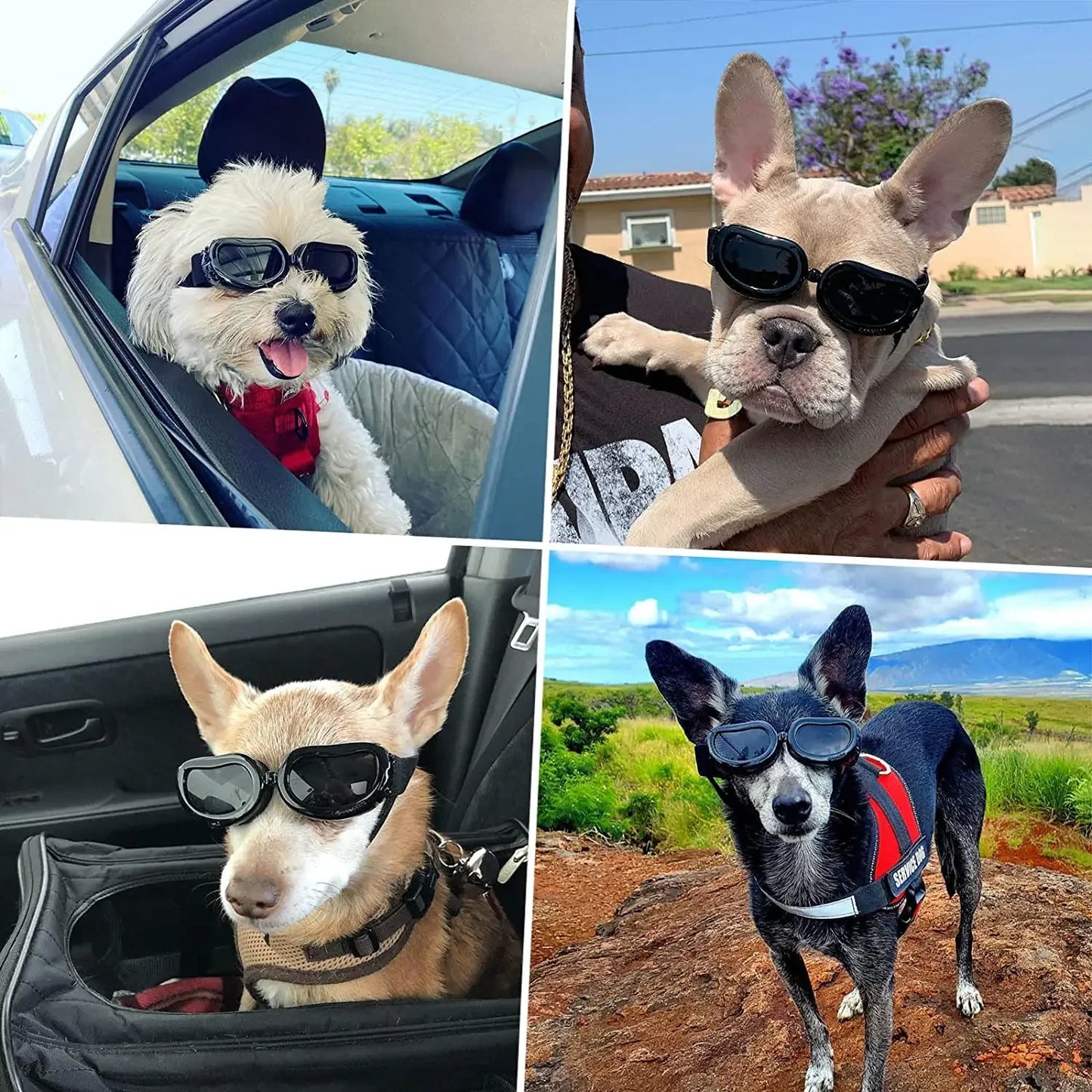 ATUBAN Dog Helmet Sunglasses for Small Dogs,UV Protection Dog Glasses Sport Hat for Medium Dogs,for Dog Outdoor Driving Walking