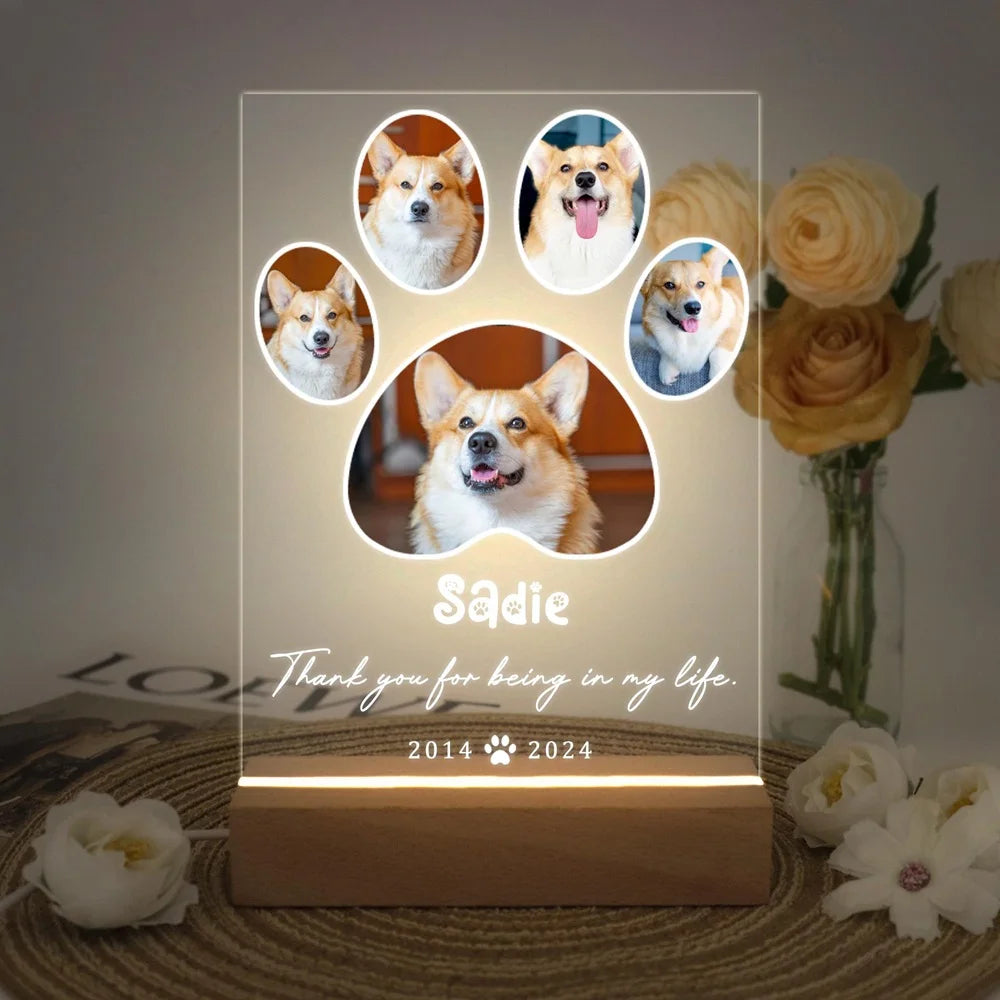 Custom Name Photo Remembrance Gift Personalized Pet Plaque Pet Memorial Frame Cat Dog Loss Gift Sympathy for Pet Lover
