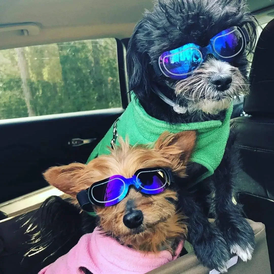 ATUBAN Dog Helmet Sunglasses for Small Dogs,UV Protection Dog Glasses Sport Hat for Medium Dogs,for Dog Outdoor Driving Walking